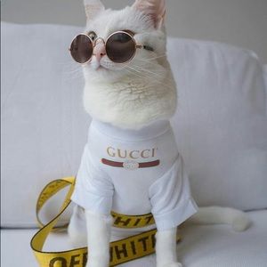 Meet your Posher, Melvin